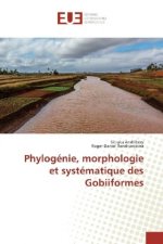 Phylogénie, morphologie et systématique des Gobiiformes