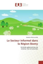 Le Secteur Informel dans la Région Boeny