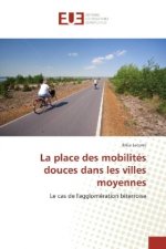 La place des mobilités douces dans les villes moyennes