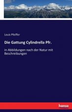 Gattung Cylindrella Pfr.