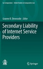 Secondary Liability of Internet Service Providers