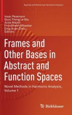 Frames and Other Bases in Abstract and Function Spaces