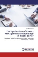 The Application of Project Management Methodology in Public Sector