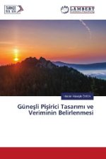 Günesli Pisirici Tasar m ve Veriminin Belirlenmesi
