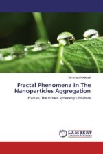 Fractal Phenomena In The Nanoparticles Aggregation