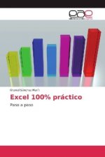 Excel 100% práctico