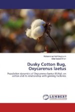 Dusky Cotton Bug, Oxycarenus laetus