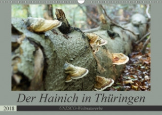 Der Hainich in Thüringen - Weltnaturerbe (Wandkalender 2018 DIN A3 quer)
