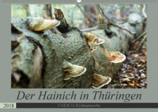 Der Hainich in Thüringen - Weltnaturerbe (Wandkalender 2018 DIN A2 quer)