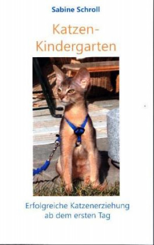 Katzen-Kindergarten