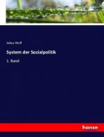 System der Sozialpolitik