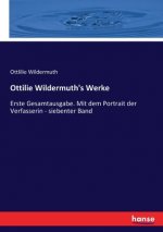 Ottilie Wildermuth's Werke