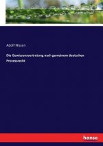 Gewissensvertretung nach gemeinem deutschen Prozessrecht