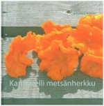 Kanttarelli metsänherkku