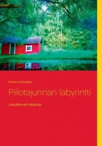Piilotajunnan labyrintti