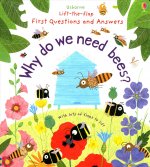 First Questions and Answers: Why do we need bees?