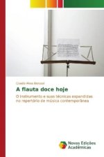 A flauta doce hoje