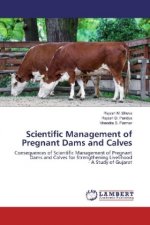 Scientific Management of Pregnant Dams and Calves