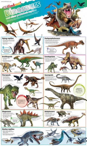DKfindout! Dinosaurs Poster