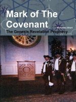 Mark of the Covenant: the Genesis Revelation Prophecy.