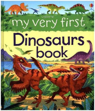 My Very First Dinosaurs Book