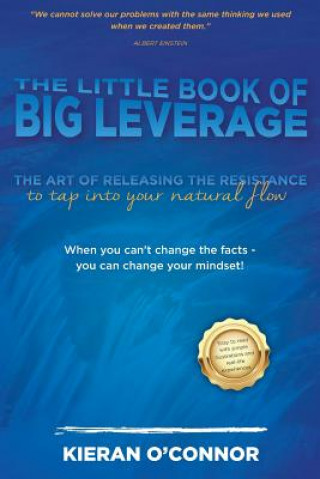Little Book of Big Leverage
