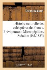 Histoire Naturelle Des Coleopteres de France. Brevipennes: Micropeplides, Stenides