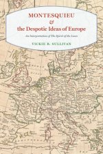 Montesquieu and the Despotic Ideas of Europe