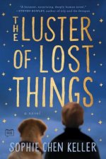 Luster of Lost Things