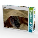 Affenbaby (Puzzle)