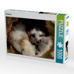 Polarfuchs (Puzzle)