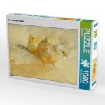 Drei niedliche Küken (Puzzle)