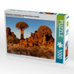 Köcherbaum im Abendlicht in der Namib Wüste in Namibia (Puzzle)