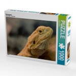 Bartagame (Puzzle)