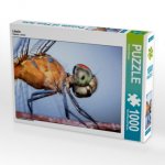 Libelle (Puzzle)