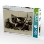 Gemeinsam herumtoben (Puzzle)