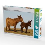 CALVENDO Puzzle Zauberhafte Esel 1000 Teile Lege-Größe 64 x 48 cm Foto-Puzzle Bild von Meike Bölts
