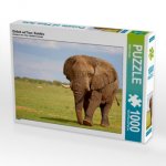 Elefant auf Tour, Namibia (Puzzle)