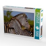 Zebra-Kleinfamilie, Afrika (Puzzle)