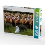 ...einmal Schafe zu hüten (Puzzle)