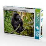 süsser kleiner Berggorilla, Gorilla beringei beringei, Bwindi Impenetrable Nationalpark, Uganda, Afrika (Puzzle)