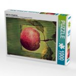 Apfel im vintagelook (Puzzle)