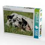 Pünktchendalmatiner (Puzzle)