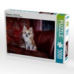 Chihuahuas - Cool & nett (Puzzle)