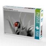 Glückskäfer mit Morgentau (Puzzle)
