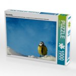 Meisenbaby (Puzzle)