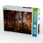 Herbstwald (Puzzle)