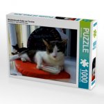 Milchtrinkende Katze vor Taverne (Puzzle)