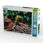 Seepferdchen (Puzzle)