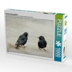 Hast du schon gehört? (Puzzle)